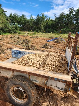 전명선님의 10월 농사 성적 자랑하기 · 참여글 작성글 사진