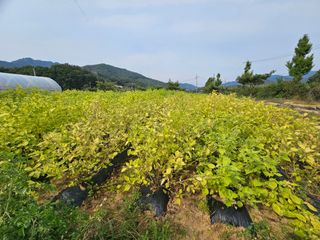 마중물0715님의 10월 농사 성적 자랑하기 · 참여글 작성글 사진