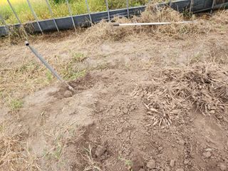 이창신님의 10월 농사 성적 자랑하기 · 참여글 작성글 사진