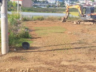 최순님의 10월 농사 성적 자랑하기 · 참여글 작성글 사진