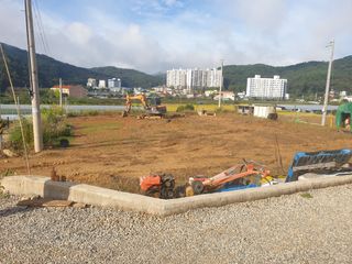 최순님의 10월 농사 성적 자랑하기 · 참여글 작성글 사진