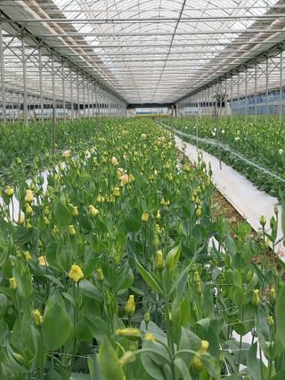 김해농부허외순님의 10월 농사 성적 자랑하기 · 참여글 작성글 사진