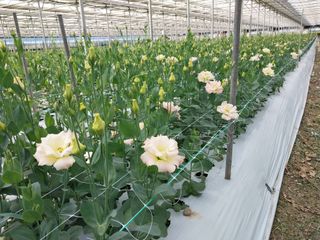 김해농부허외순님의 10월 농사 성적 자랑하기 · 참여글 작성글 사진