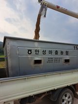 팜모닝 자유주제·자유게시판 게시글 이미지