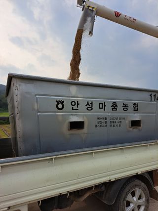 좋은인연님의 자유주제 · 자유게시판 작성글 사진