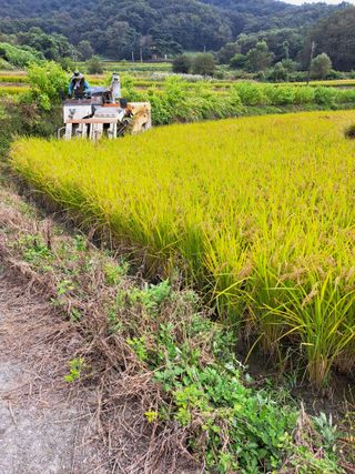 좋은인연님의 자유주제 · 자유게시판 작성글 사진