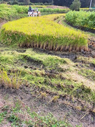 좋은인연님의 자유주제 · 자유게시판 작성글 사진