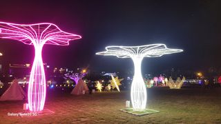 제주농부님의 배추 · 일상 작성글 사진