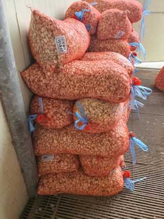 김영복님의 작성글 사진