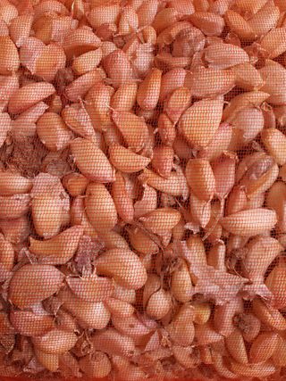 김영복님의 작성글 사진