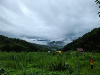 여행가자님의 배추 · 일상 작성글 사진