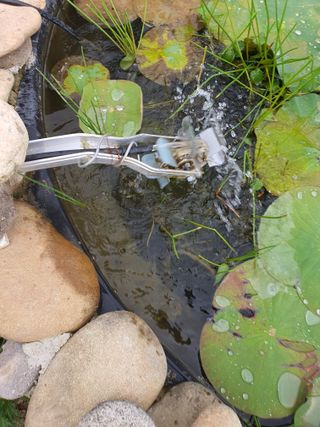 인생을사노라면님의 우리동네 · 동네자랑 작성글 사진