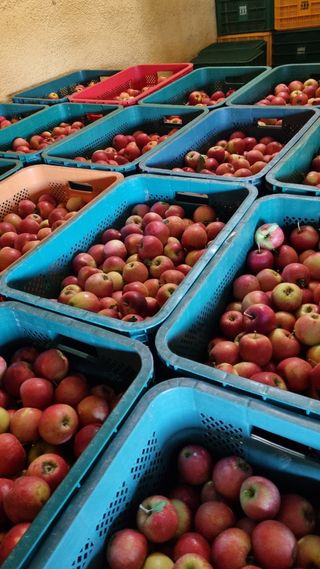 조동원님의 10월 농사 성적 자랑하기 · 참여글 작성글 사진