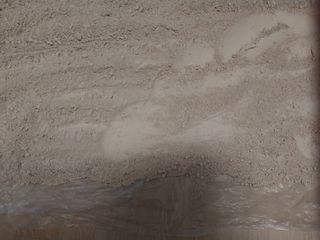 산골마님님의 기타작물 · 자유게시판 작성글 사진