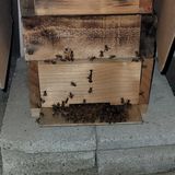 팜모닝 · 게시글 이미지