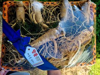 모두팜님의 10월 농사 성적 자랑하기 · 참여글 작성글 사진