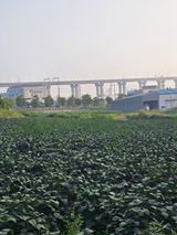 팜모닝 10월 농사 성적 자랑하기·참여글 게시글 이미지