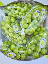 팜모닝 포도·자유게시판 게시글 이미지