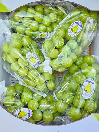 박종숙님의 포도 · 자유게시판 작성글 사진