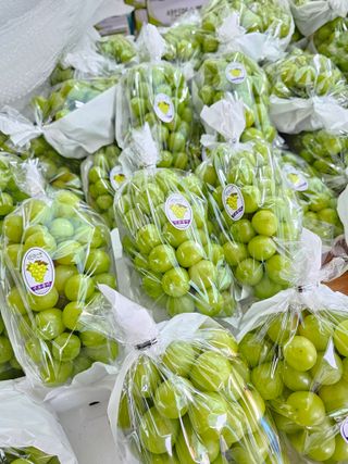 박종숙님의 포도 · 자유게시판 작성글 사진