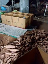 팜모닝 10월 농사 성적 자랑하기·참여글 게시글 이미지