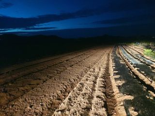 민들레 수연님의 벼 · 영농일지 작성글 사진