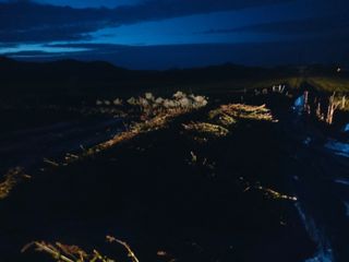 민들레 수연님의 벼 · 영농일지 작성글 사진