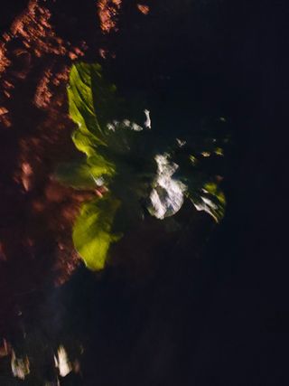 민들레 수연님의 벼 · 영농일지 작성글 사진