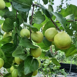 전미선님의 자유주제 · 자유게시판 작성글 사진