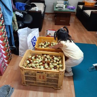 전미선님의 자유주제 · 자유게시판 작성글 사진