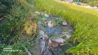 초보농부님의 벼 · 영농일지 작성글 사진