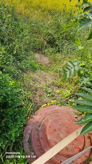 초보농부님의 벼 · 영농일지 작성글 사진