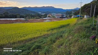 초보농부님의 벼 · 영농일지 작성글 사진