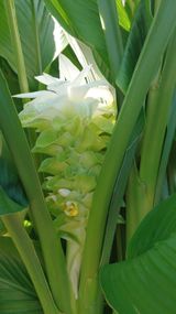 팜모닝 10월 농사 성적 자랑하기·참여글 게시글 이미지