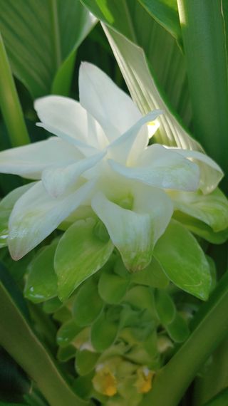 이용일님의 10월 농사 성적 자랑하기 · 참여글 작성글 사진