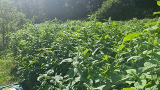 김태수.님의 10월 농사 성적 자랑하기 · 참여글 작성글 사진