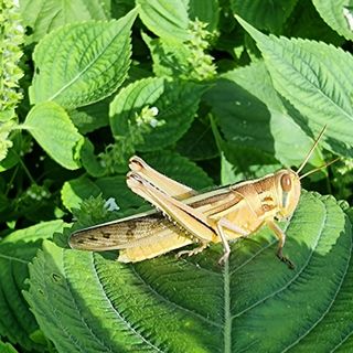 김태수.님의 10월 농사 성적 자랑하기 · 참여글 작성글 사진