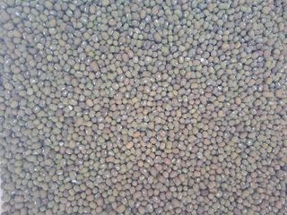 아리맘님의 작성글 사진