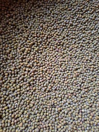 아리맘님의 작성글 사진