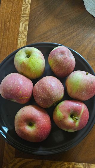 홍&이님의 10월 농사 성적 자랑하기 · 참여글 작성글 사진