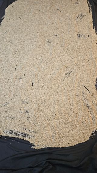 홍&이님의 10월 농사 성적 자랑하기 · 참여글 작성글 사진