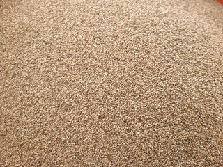 전재문님의 작성글 사진