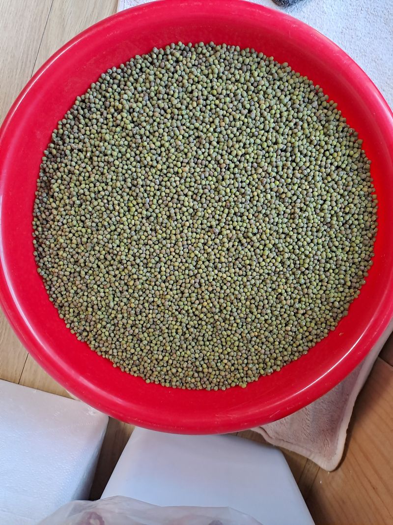 아리맘님의 장터 판매 상품 [태양초고추가루ㆍ녹두ㆍ토종참깨] 첨부 사진