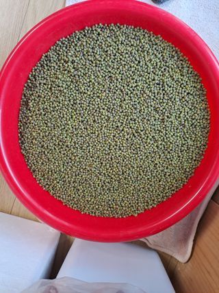 아리맘님의 작성글 사진