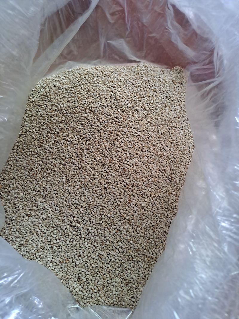 아리맘님의 장터 판매 상품 [태양초고추가루ㆍ녹두ㆍ토종참깨] 첨부 사진