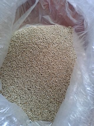 아리맘님의 작성글 사진