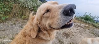 다겸님의 10월 농사 성적 자랑하기 · 참여글 작성글 사진