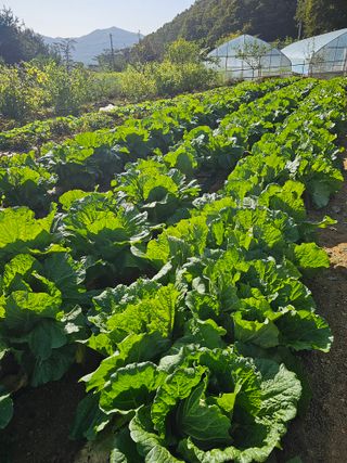 다겸님의 10월 농사 성적 자랑하기 · 참여글 작성글 사진