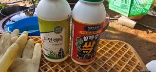 정병화니네농장님의 고추 · 영농일지 작성글 사진