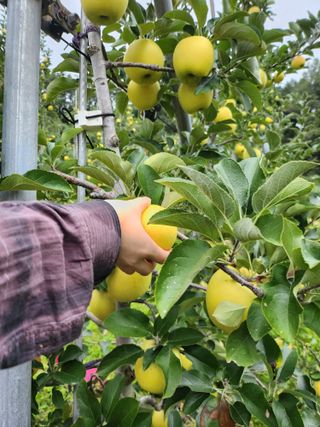 홍현설님의 10월 농사 성적 자랑하기 · 참여글 작성글 사진